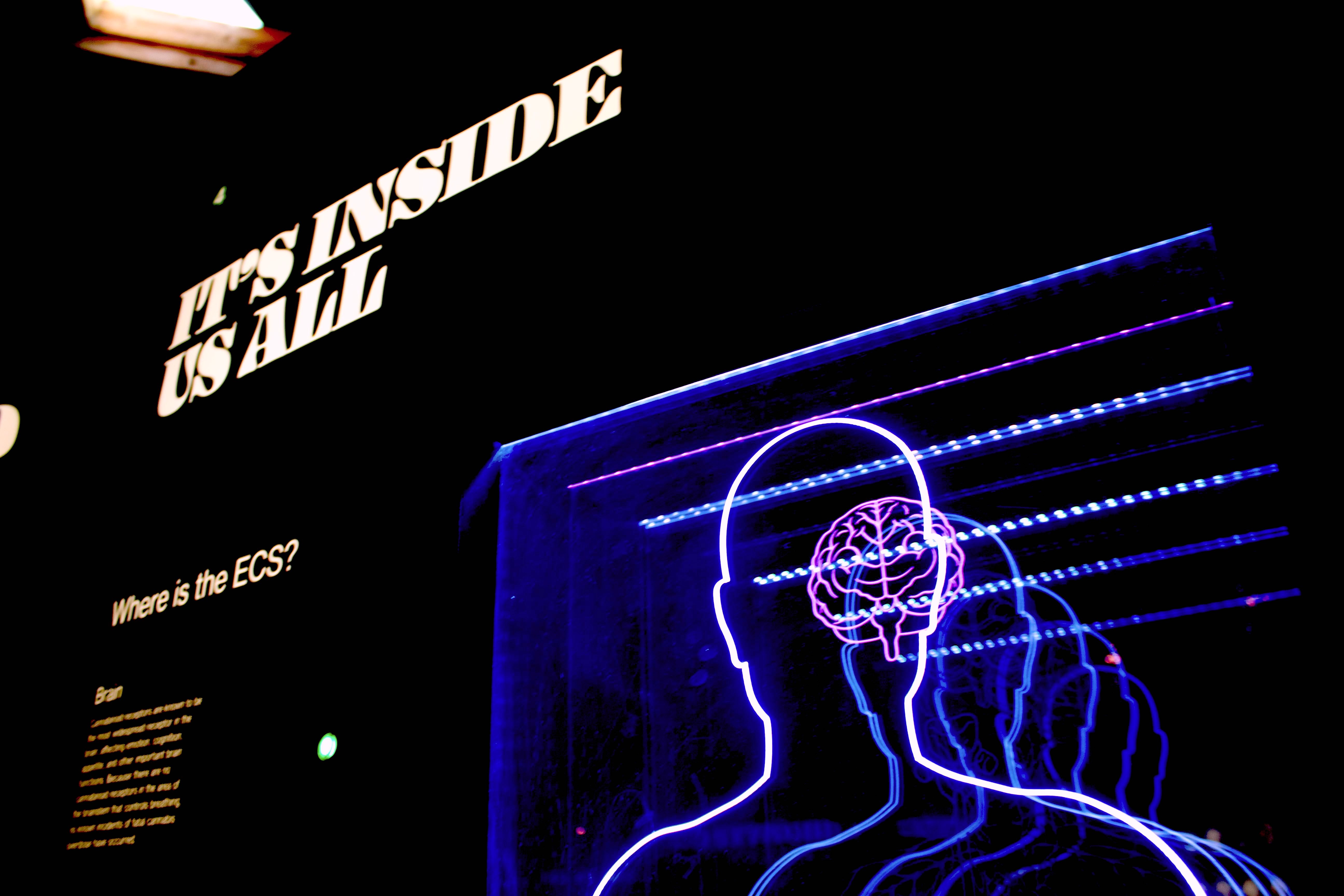podcast-image